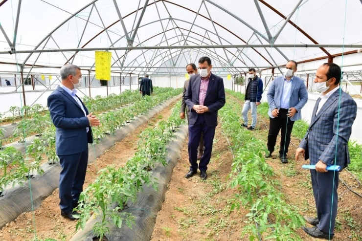 Yeşilyurt’ta Meyve Kurutma Ve Kükürtleme Tesisi Kurulacak