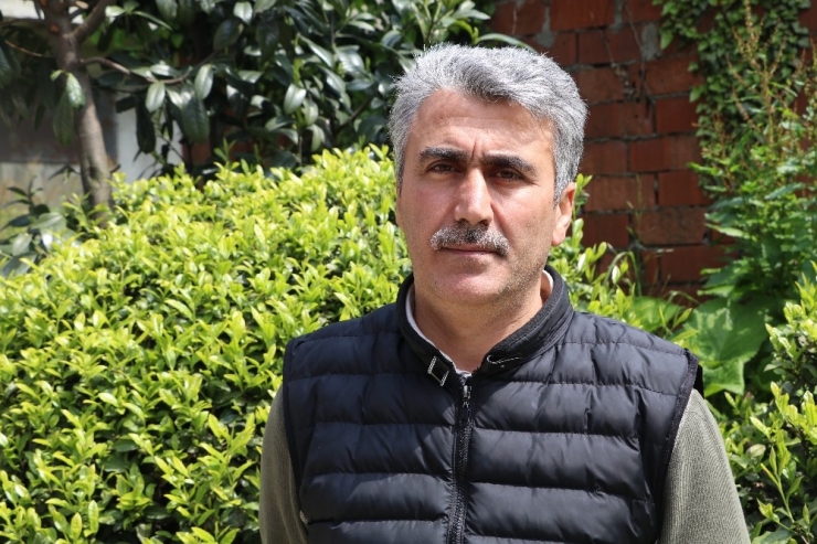 Üretici Çayı Nasıl Toplayacağından Çok Açıklanacak Çay Fiyatını Merak Ediyor