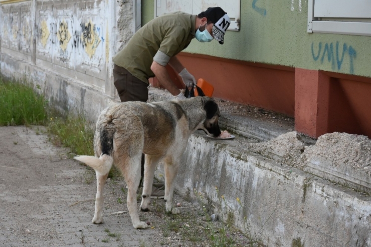 Sondakik Editörleri Sokak Hayvanlarını Unutmadı