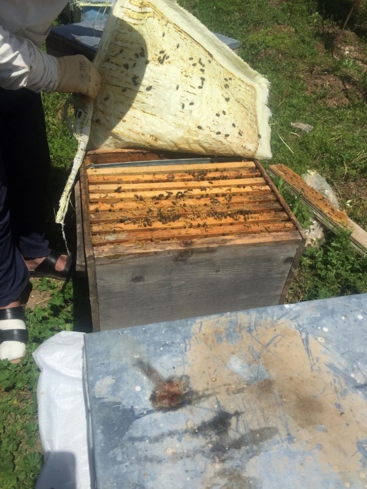 Sur’da Arıcılık Sezonu Başlıyor