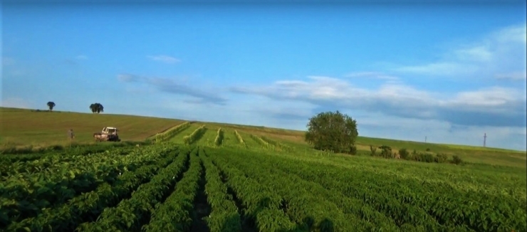 Edirne’de 395 Bin 490 Dekar Tarım Arazisi Sulanmaya Başlandı