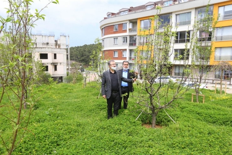Göktürk’e Meyve Bahçesi Yapıldı