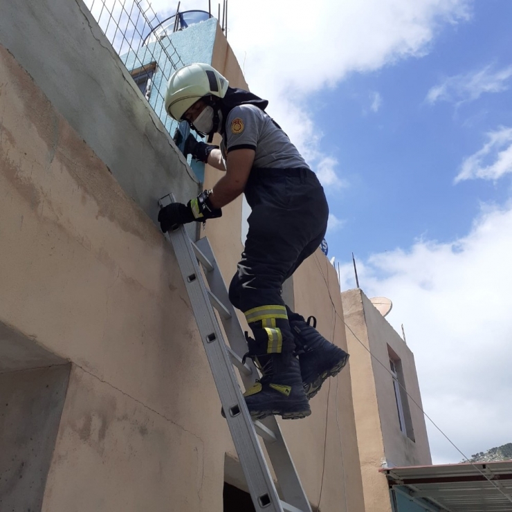 Mahsur Kalan Yavru Kedileri İtfaiye Kurtardı