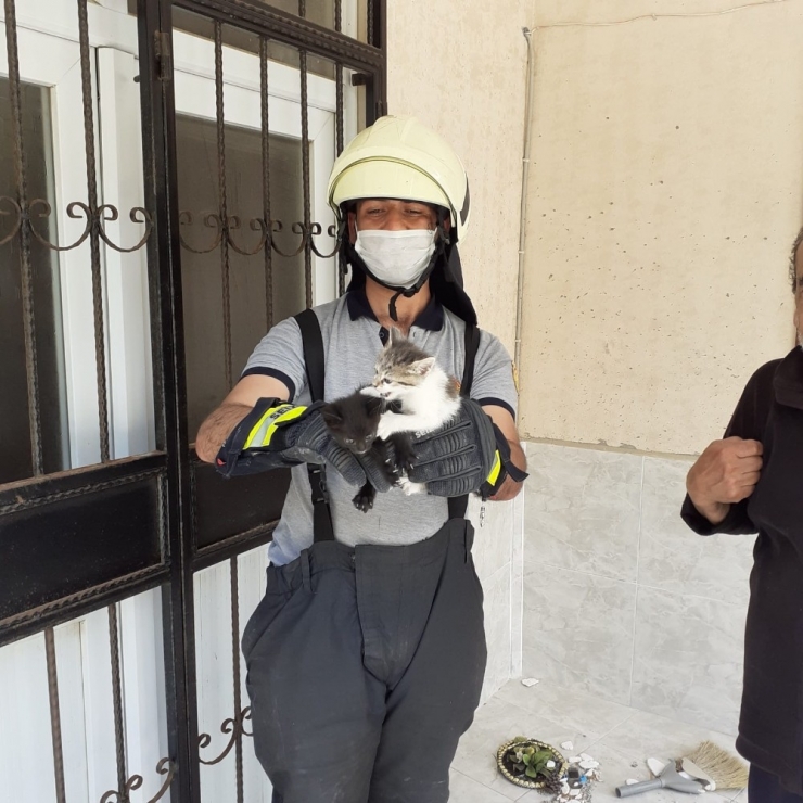 Mahsur Kalan Yavru Kedileri İtfaiye Kurtardı