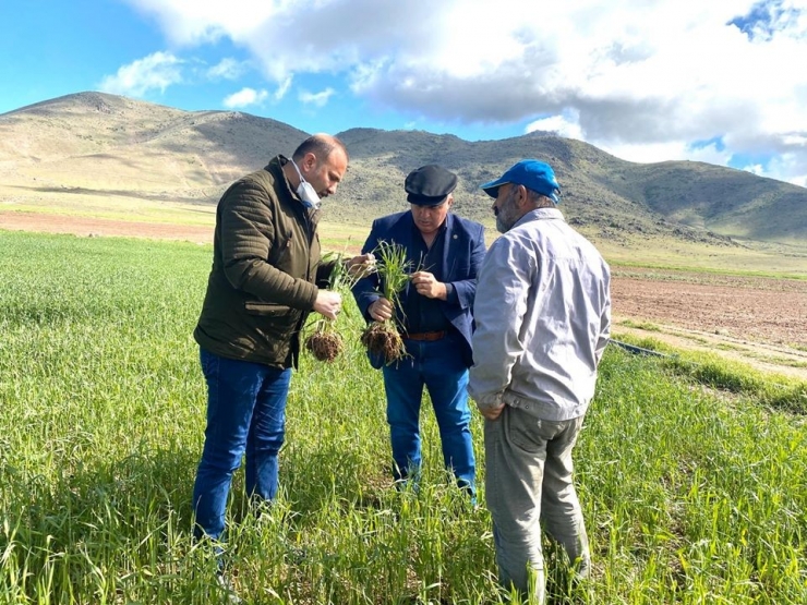 Ziraat Odası Başkanı Bayram: “Dolu Üç Köyümüzde Ekili Araziler Ve Elma Bahçelerine Ciddi Zarar Verdi”