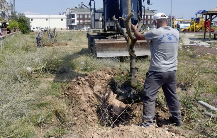 Kepez’den Antalya’nın Simgesine Yatırım