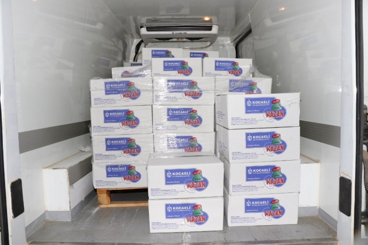 Kocaeli Büyükşehir Belediyesinden Hastaları Sevindiren Proje