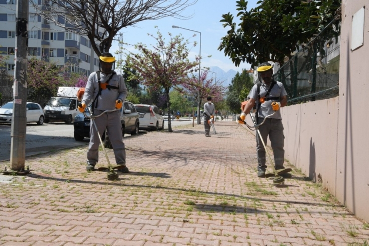 Konyaaltı’nda Sokak Ve Kaldırımlar Temizleniyor