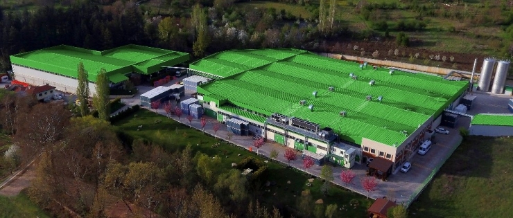 Kızıl: "Koronadan Etkilendik Ama Çabuk Adapte Olduk"