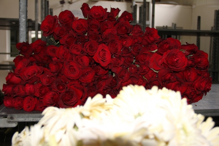 Korona Virüs, Çiçekçileri Fena Vurdu