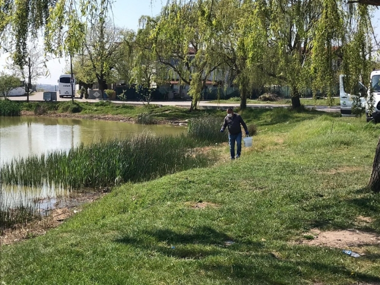 Ergene Belediyesi Larva İle Mücadele Çalışmalarını Arttırdı