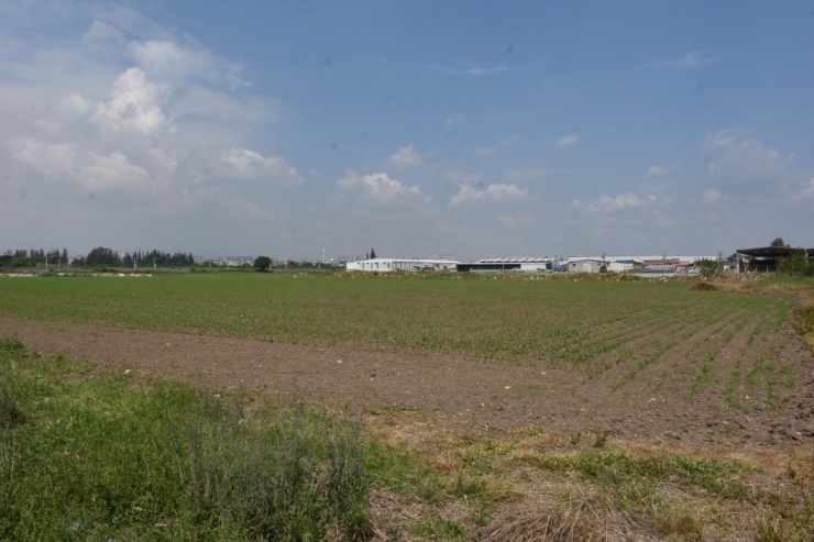 Tarsus Belediyesi, ‘Zehirsiz Sofralar Kuruyoruz’ Projesini Hayata Geçiriyor