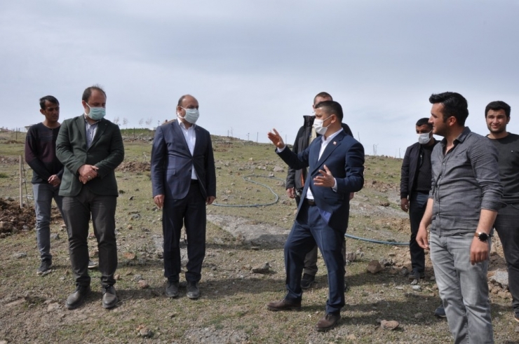 Erciş Belediyesinden Meyve Bahçesi