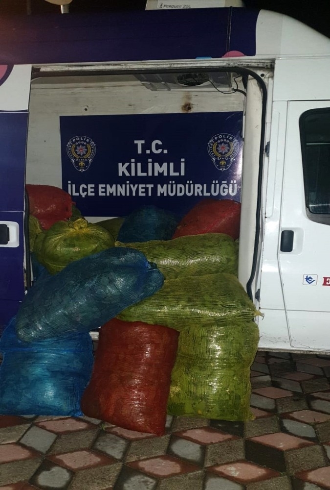 Ormandan İzinsiz Toplanan 748 Kilo Defne Yaprağı Ele Geçirildi