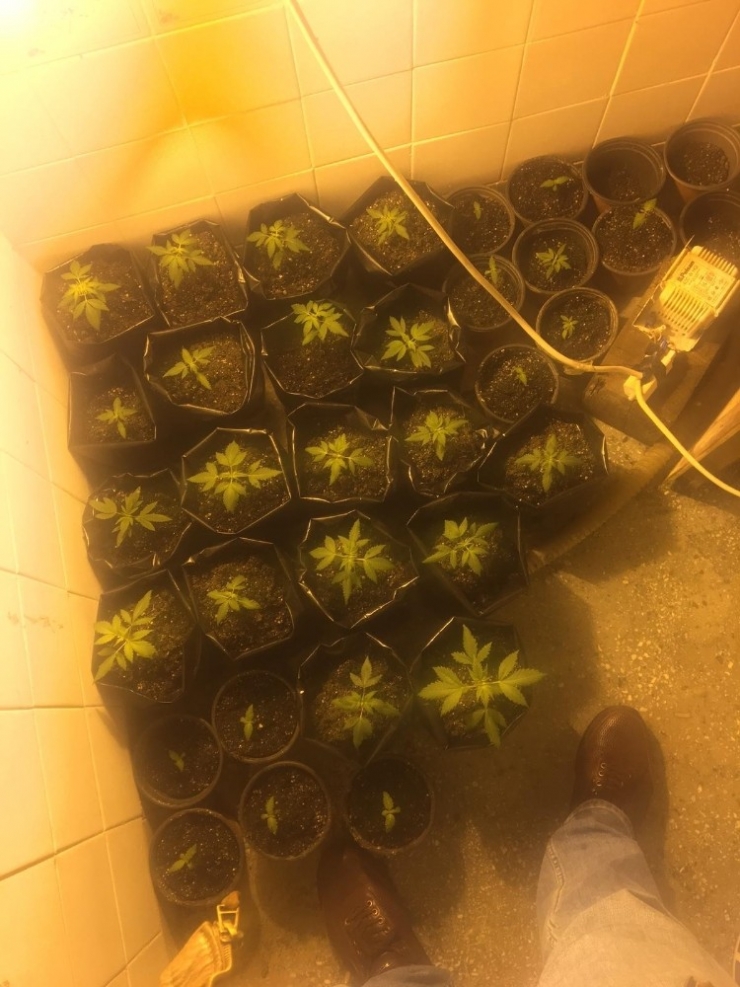 Özel Düzenek Kurup, Uyuşturucu Yetiştirilen Eve Operasyon