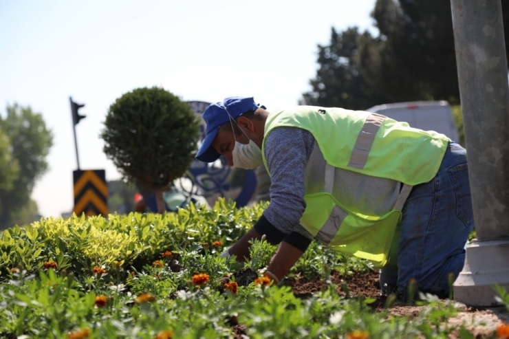 Aydın Büyükşehirle Güzelleşiyor