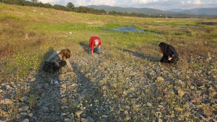 Balıkesir’de Hıdrellez Kutlamalarına Virüs Engeli