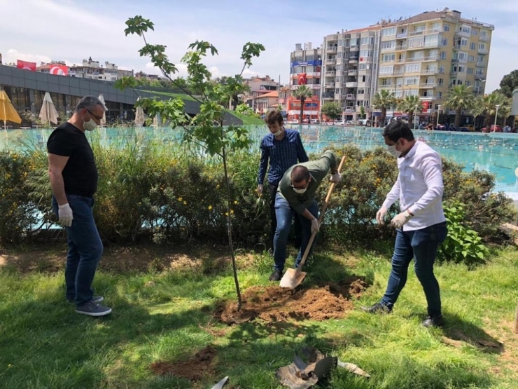 Chp’li Gençler Deniz Gezmiş Ve Arkadaşları Anısına 3 Fidan Dikti