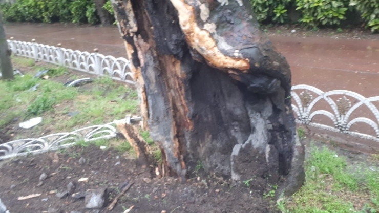 Beşiktaş’ta Kontrolden Çıkan Araç 80 Metre Sürüklenip Ağaca Çarptı: 4 Yaralı