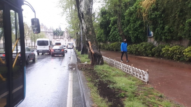 Beşiktaş’ta Kontrolden Çıkan Araç 80 Metre Sürüklenip Ağaca Çarptı: 4 Yaralı