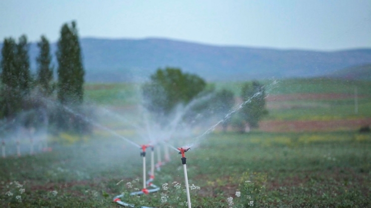 Nevşehir’de 76 Bin 130 Dekar Tarım Arazisi Sulanmaya Başlandı