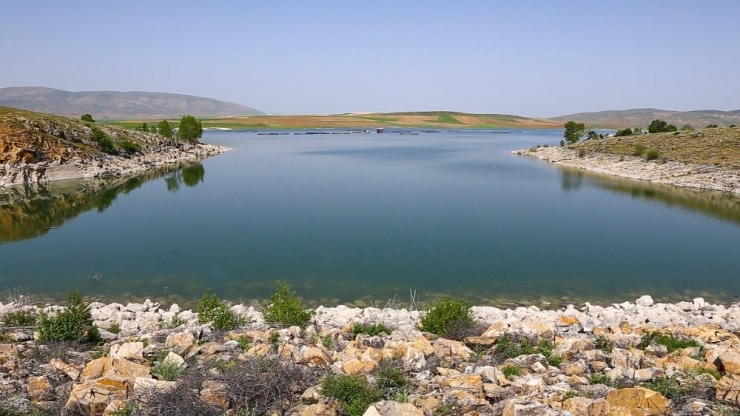 Kırşehir’de 194 Bin 780 Dekar Tarım Arazisi Sulanmaya Başlandı