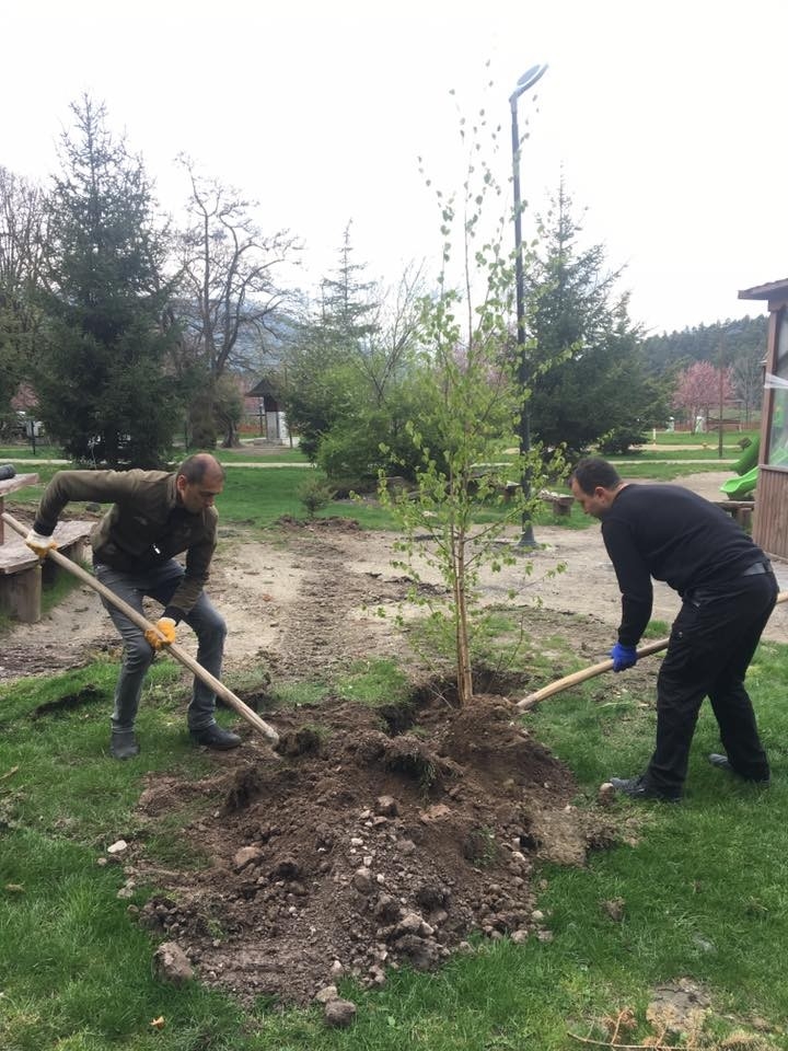 Bolu’da Göl Ve Derelere 600 Bin Alabalık Bırakıldı