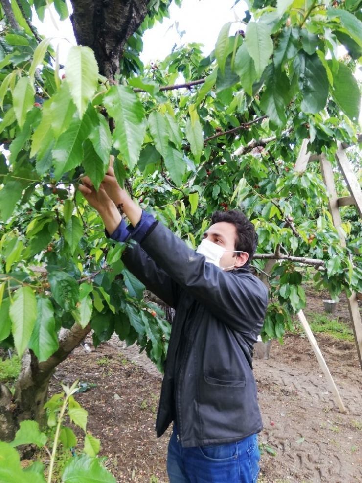 Mevsimlik İşçilere Büyükşehir Desteği