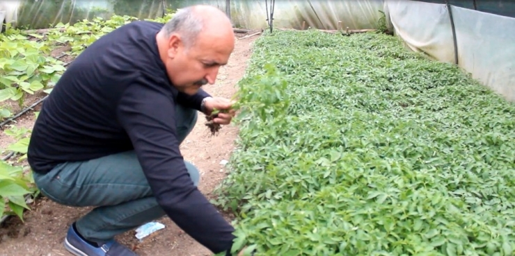 65 Yaş Üzeri Vatandaşın Bahçe Bakımını Belediye Ekipleri Yapacak