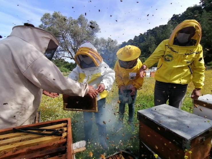 Metin Yavuz Arıcı Çiftçileri Ziyaret Etti
