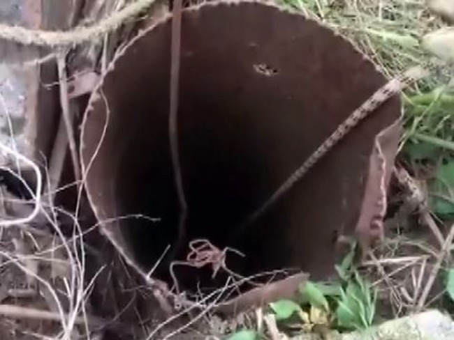 Sondaj Kuyusuna Düşen Yavru Köpek Kurtarıldı