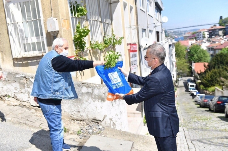 Üsküdar’da Sepetler Anneler İçin Mor Salkımlarla Doldu