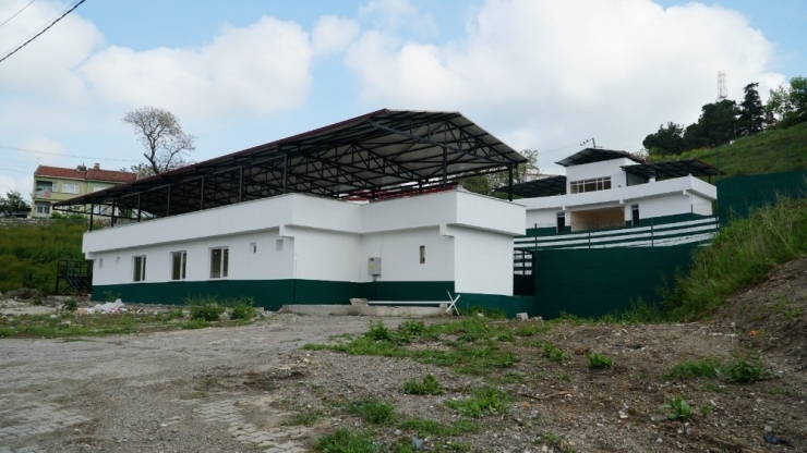 Amfi Tiyatro Yıllar Sonra Yeni Yüzüyle Hizmet Verecek