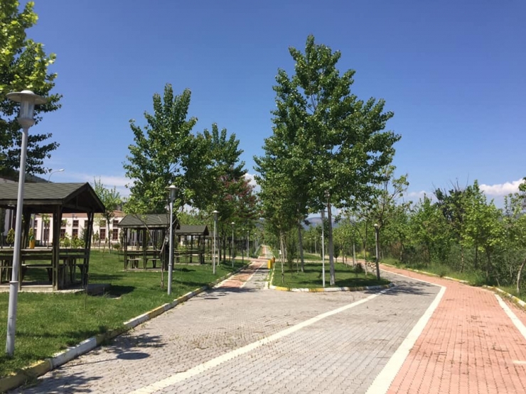 5 Yılda 250 Bin Adet Fidan Toprakla Buluştu, Hedef 500 Bin