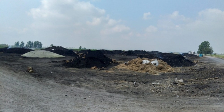 Adana’da Ruhsatsız Mangal Kömürü Üretimine Son Verildi