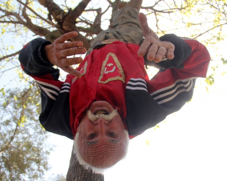 Ağaca Baş Aşağı Asılan Yaşlı Adam Polisi Alarma Geçirdi