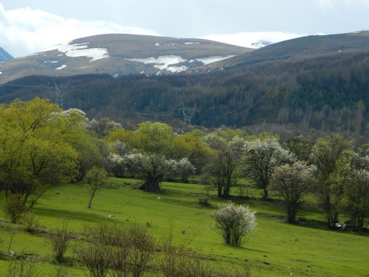 Posof’ta Bahar Bir Başka Güzel