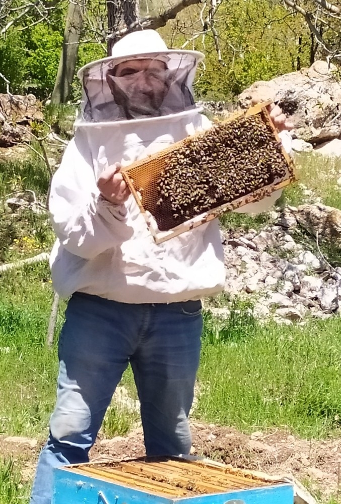 Antalya’da Sıcaklıklar Arttı, Arılar Yaylaya Taşındı