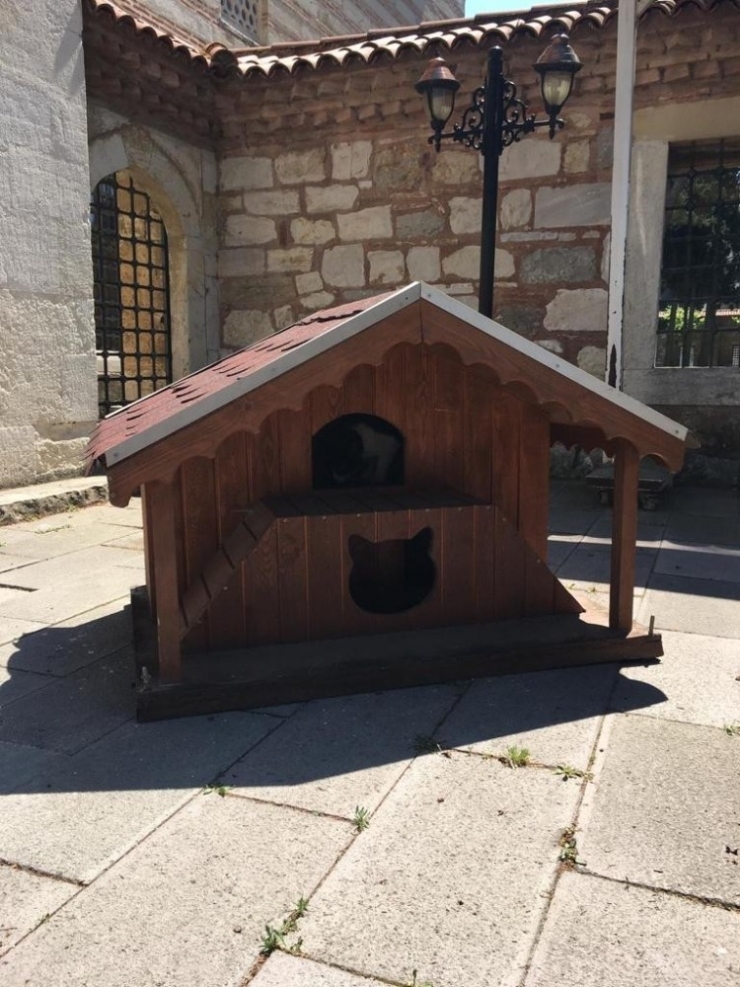 Çoban Mustafa Paşa Camii Bahçesindeki Yuvalar Yenilendi