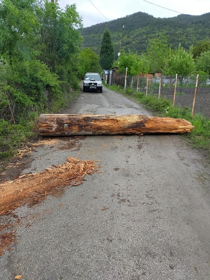 Korona Virüs Dolayısıyla Köyün Girişlerini Ağaç Tomruklarla Kapattı