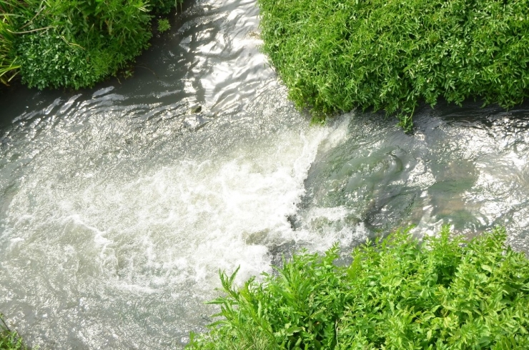 Türkiye Gündemine Oturmuştu: O Dereyle İlgili Flaş Başvuru