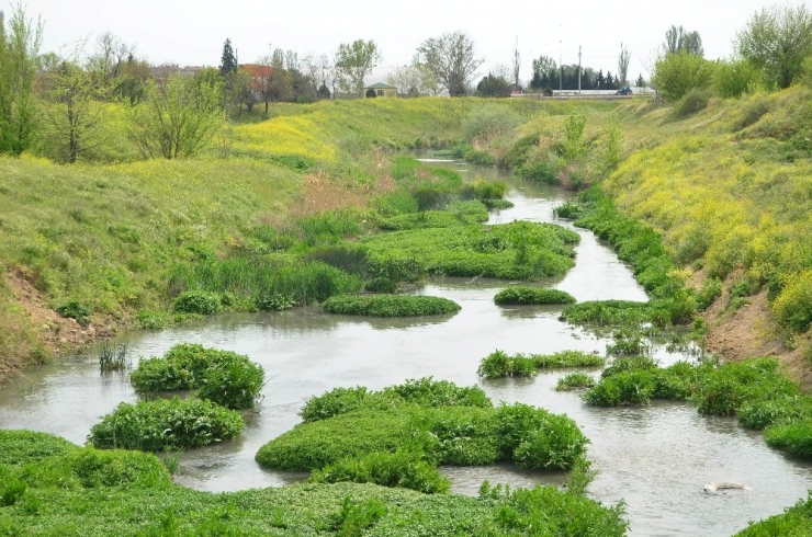 Türkiye Gündemine Oturmuştu: O Dereyle İlgili Flaş Başvuru
