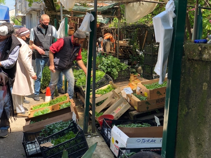 Sakarya’da Fideye Talep Arttı