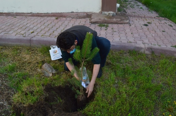 Karantina Günleri Anısına Fidan Diktiler