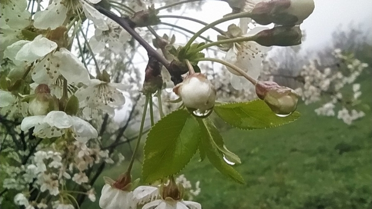 Yağmur Damlaları İlginç Görüntüler Oluşturdu