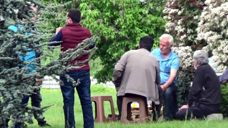 İstanbul’da Şaşırtan Görüntü: E-5’in Yanı Başında Piknik Yapıp Tavla Oynadılar