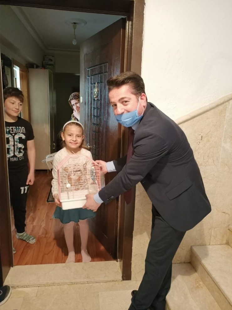 Cimer’den Muhabbet Kuşu Çıktı