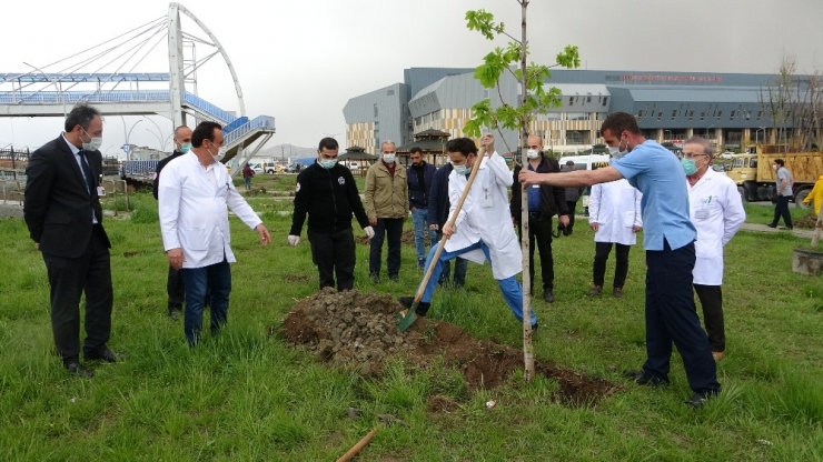 Hastane Bahçesinde Fidanlar Nefes Olacak