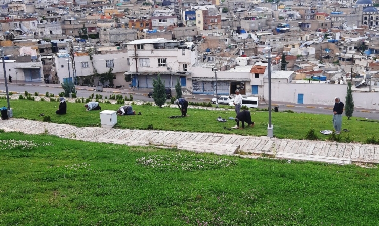 Şanlıurfa’da Sosyal Mesafeli Namaz