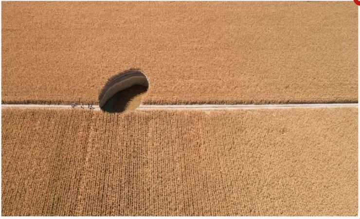 Sürdürülebilir Tarım İçin Ekim Nöbeti Sistemi Doğru Uygulanmalı